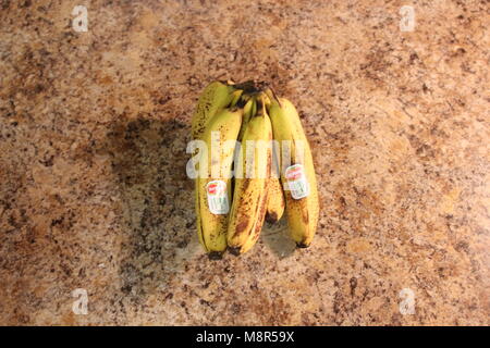 London, Ontario, Kanada, 19. März 2018: Redaktionelle Illustration Foto von Reifen Del Monte Bananen in einem Obstkorb auf Soft Focus. Del Monte ist eine der größten Obst- Unternehmen der Welt aus Kalifornien USA Stockfoto