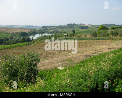 VINCI Italien 2010 die Landschaft rund um Leonardo da Vincis Geburtsort Vinci in der Toskana Stockfoto