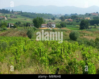 VINCI Italien 2010 die Landschaft rund um Leonardo da Vincis Geburtsort Vinci in der Toskana Stockfoto