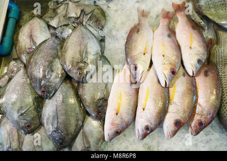 Frischer Fisch auf dem Markt Stockfoto