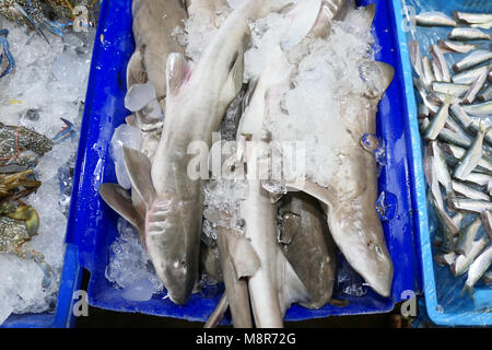 Frischer Fisch auf dem Markt Stockfoto