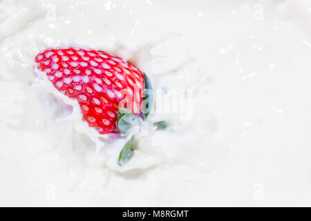 Erdbeere fallen in eine Schüssel mit Milch mit Milch spritzen Stockfoto