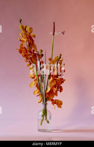 Nahaufnahmen von Blumen in Vase gegen rosa Hintergrund Stockfoto