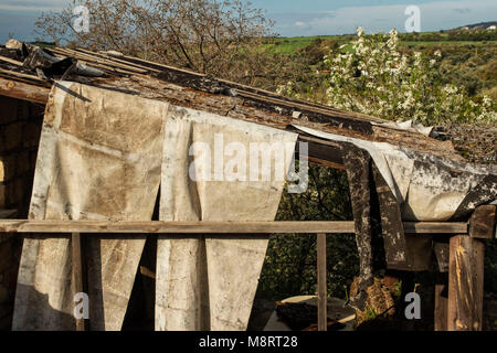 Heruntergekommene Gebäude und spring blossom in der Landschaft von Paphos, Paphos, Zypern, Mittelmeer Stockfoto