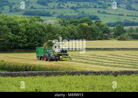 Arbeiten im landwirtschaftlichen Bereich, 1 grüne Fendt Traktor fährt neben CLAAS Feldhäcksler Sammeln von geschnittenem Gras für Silage - West Yorkshire, England, Großbritannien Stockfoto