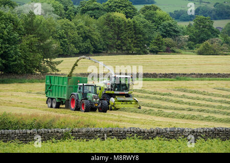 Arbeiten im landwirtschaftlichen Bereich, 1 grüne Fendt Traktor fährt neben CLAAS Feldhäcksler Sammeln von geschnittenem Gras für Silage - West Yorkshire, England, Großbritannien Stockfoto