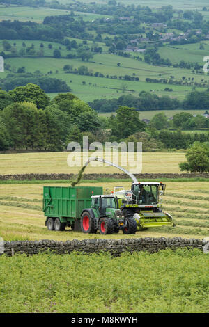 Arbeiten im landwirtschaftlichen Bereich, 1 grüne Fendt Traktor fährt neben CLAAS Feldhäcksler Sammeln von geschnittenem Gras für Silage - West Yorkshire, England, Großbritannien Stockfoto