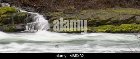 Wildwasser fließt schnell über und vorbei an Felsen und Moos in der Umpqua River Stockfoto