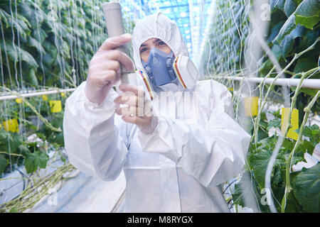 Plantagenarbeiter in Hazmat Anzug Stockfoto