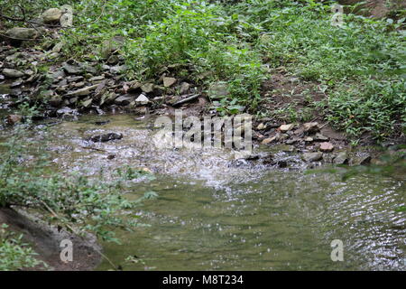 Einen Stream läuft über Felsen Stockfoto