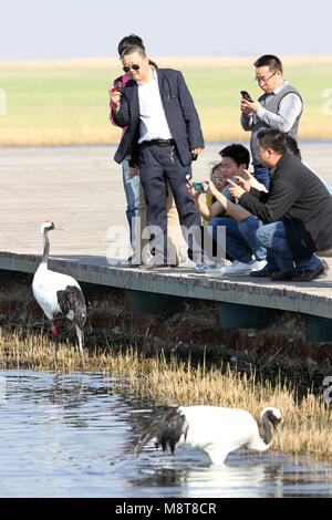 Natuurrecreatie in Heilongjiang, China; Natur Tourismus in Heilongjiang, China Stockfoto