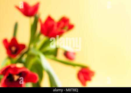 Unscharfer Hintergrund mit floralem Bouquet von roten Tulpen auf gelben Hintergrund. Stockfoto