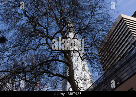 Blick auf den Shard, durch eine London Plane Tree, aus Kerle Camps, Kings College, London Stockfoto