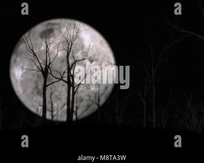 Holz auf der Vorderseite des Mondes. 3D-Darstellung Stockfoto