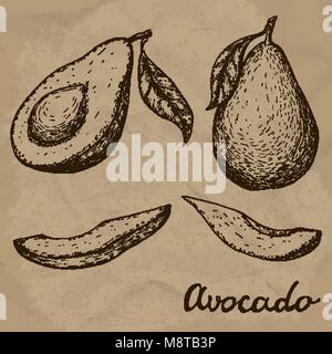 Hand gezeichnet Avocado. Ganze Avocado, in Scheiben geschnittene Stücke und die Hälfte Skizze. Graviert stil Abbildung. Vector Illustration EPS 10. Stock Vektor