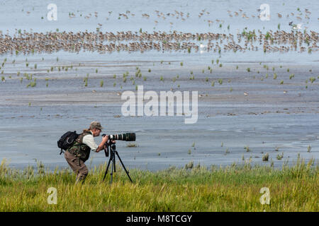 Mann fotografeert een zwerm Vogels; Mann, fotografieren einen Schwarm Vögel Stockfoto