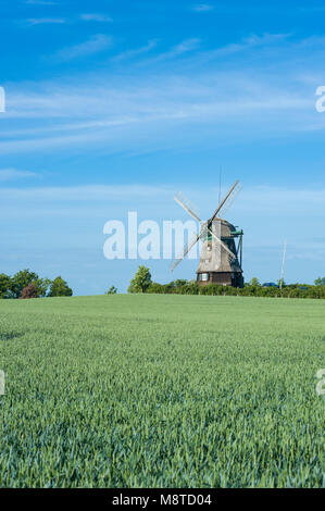 Farver Mühle, Wangles, Ostsee, Schleswig-Holstein, Deutschland, Europa Stockfoto