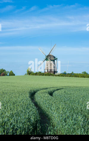 Farver Mühle, Wangles, Ostsee, Schleswig-Holstein, Deutschland, Europa Stockfoto