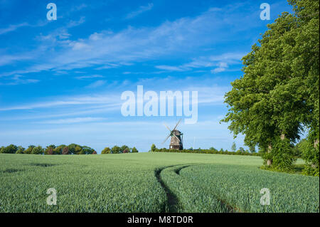 Farver Mühle, Wangles, Ostsee, Schleswig-Holstein, Deutschland, Europa Stockfoto