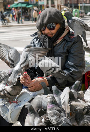 Eine Frau füttern Tauben in der Piazza Flaminio in Rom. Stockfoto