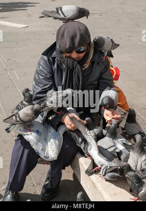 Eine Frau füttern Tauben in der Piazza Flaminio in Rom. Stockfoto