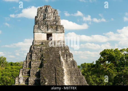 Tempel 1, auch als der Jaguar Tempel, der im Nationalpark Tikal, Guatemala in Mittelamerika bekannt Stockfoto