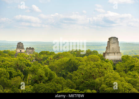 Maya Ruinen erheben sich über den Dschungel im berühmten Nationalpark Tikal, Guatemala Stockfoto