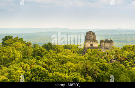 Maya Ruinen erheben sich über den Dschungel im berühmten Nationalpark Tikal, Guatemala Stockfoto