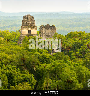 Maya Ruinen erheben sich über den Dschungel im berühmten Nationalpark Tikal, Guatemala Stockfoto