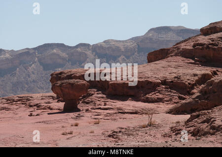 Die pilzförmiger Felsen geschnitzt von der natürlichen Kräfte der Feuchtigkeit und Wind in Timna Valley im südlichen Israel liegt im Südwesten der Gefilde Tal in Hebräisch bekannt als Arava oder Aravah Stockfoto