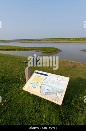 Vogelfotograaf bij het Wagenjot ; vogel Fotograf beim Wagenjot, Texel (Niederlande) Stockfoto