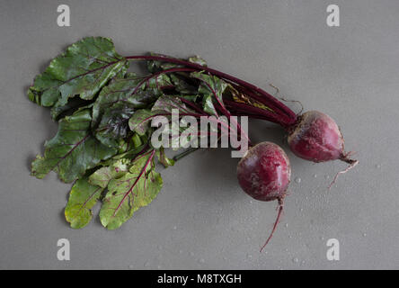 Mit Blättern auf grauem Hintergrund von oben Rote Bete Stockfoto