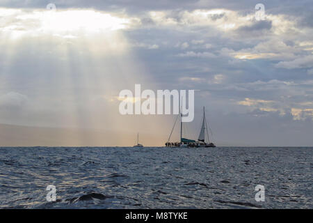 Die Boote badeten am Ende eines Whale-Watching-Tages in Lahaina auf Maui in das Licht der Welt. Stockfoto