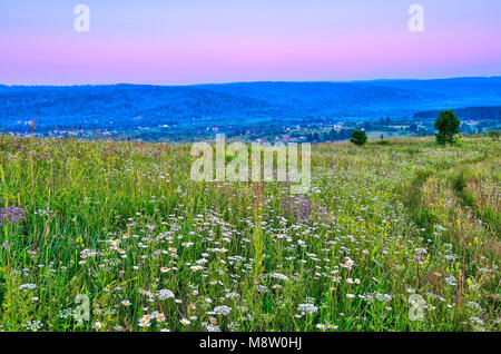 Sommer Abend Landschaft über Hügel und blühende Wiese - Blick vom Hügel mit Straße unter den Blumen und Gras zu blauen Hügel bedeckt mit Wäldern Stockfoto