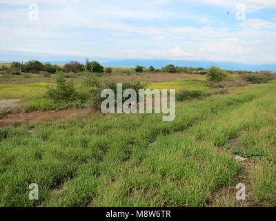 Nationalpark Isla de Salamanca, Barranquilla, Kolumbien Stockfoto