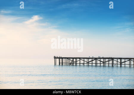 Nebeliger Morgen über dem Meer. Möwen, die an Alte kaputte Brücke im Wasser Stockfoto