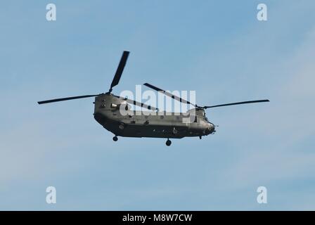 Eine Boeing Chinook HC2 Hubschrauber der RAF führt auf dem Airbourne Airshow in Eastbourne, England am 11. August 2012. Stockfoto