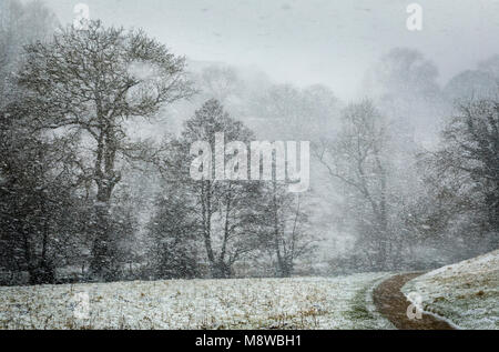 Blizzard in der Nähe von Tal Milldale, Taube, Nationalpark Peak District, Derbyshire Stockfoto