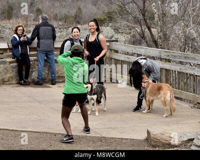 Winter am Nachmittag an der Great Falls Park, Virginia Stockfoto