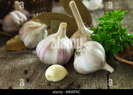 Gang und Knoblauch Köpfe close-up auf einen unscharfen Hintergrund aus Holz mit Petersilie und Lorbeerblätter. Flache Tiefenschärfe Stockfoto