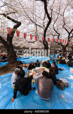 Eine Gruppe von rund 10 Personen sitzen auf Kunststoff blau Blätter unter blühenden Kirschbäumen und Lampions in Ueno Park in Tokio Stockfoto