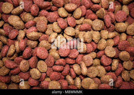 Hintergrundbild von Hund Snack. Hundefutter Hintergrund. Stockfoto