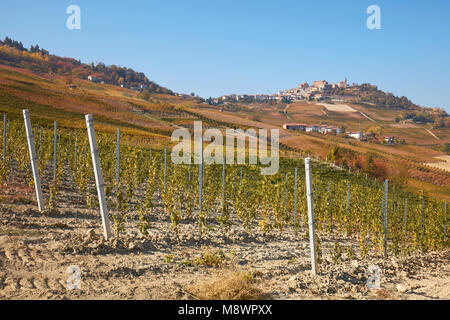 La Morra Stadt und junge Weinberg im Herbst und Hügel mit braunen Blätter an einem sonnigen Tag Stockfoto