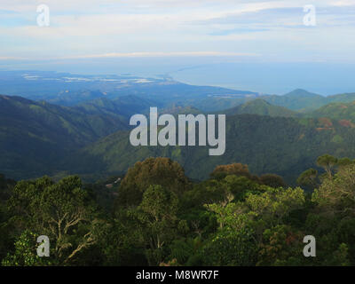 Nevelwoud met uizticht über Santa Marta/Cloud Forest mit Blick über Santa Marta; Santa Marta Berge, Sierra Nevada, Kolumbien Stockfoto