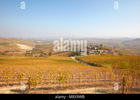 Hügel der Langhe, Weinberge im Herbst mit gelben Blätter an einem sonnigen Tag in Piemont, Italien Stockfoto