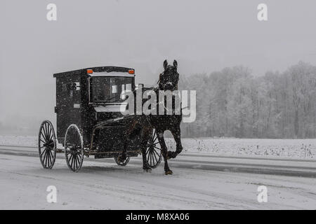 Amish auf einer verschneiten Straße mit einem Pferd und Buggy im ländlichen Ontario Stockfoto
