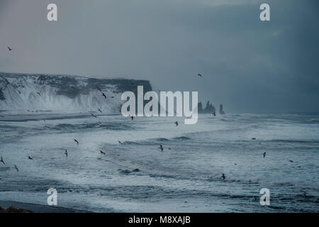 Dramatische Winterlandschaft der Isländischen schwarzen Sand Strand Reynisfjara in der Nähe von Vik. Stürmische See ufer des vulkanischen schwarzen Strand und die schneebedeckten Berge Stockfoto