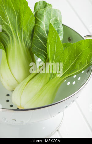 Frische Pak Choi Kohl in Sieb. Stockfoto