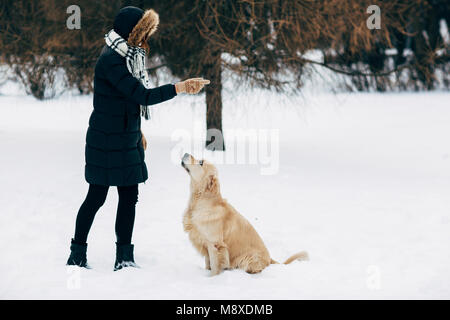 Bild der Frau mit Labrador auf Spaziergang im Winter Park Stockfoto