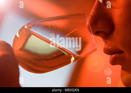 Winzer im Weinkeller halten Glas Wein Stockfoto